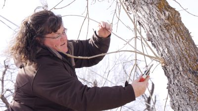 woman in brown jacket demonstrates how to prune a branch off a tree