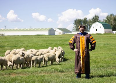 smiling man wearing graduation cap and gown stands in a green field near a group of lambs