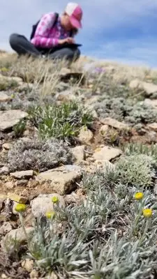 woman wearing pink shirt and cap sits on rocky ground beside sagebrush