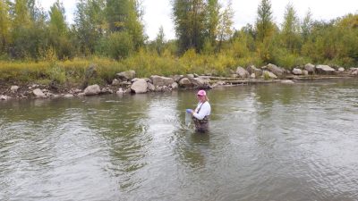 woman in baseball cap and waders collects water sample in river