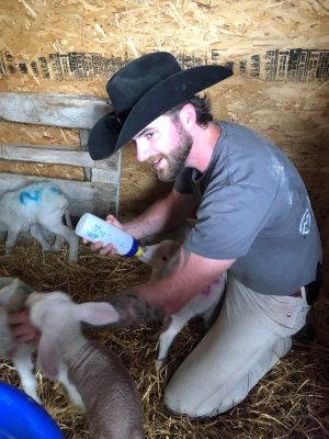 man wearing black cowboy hat kneels to feed bum lambs