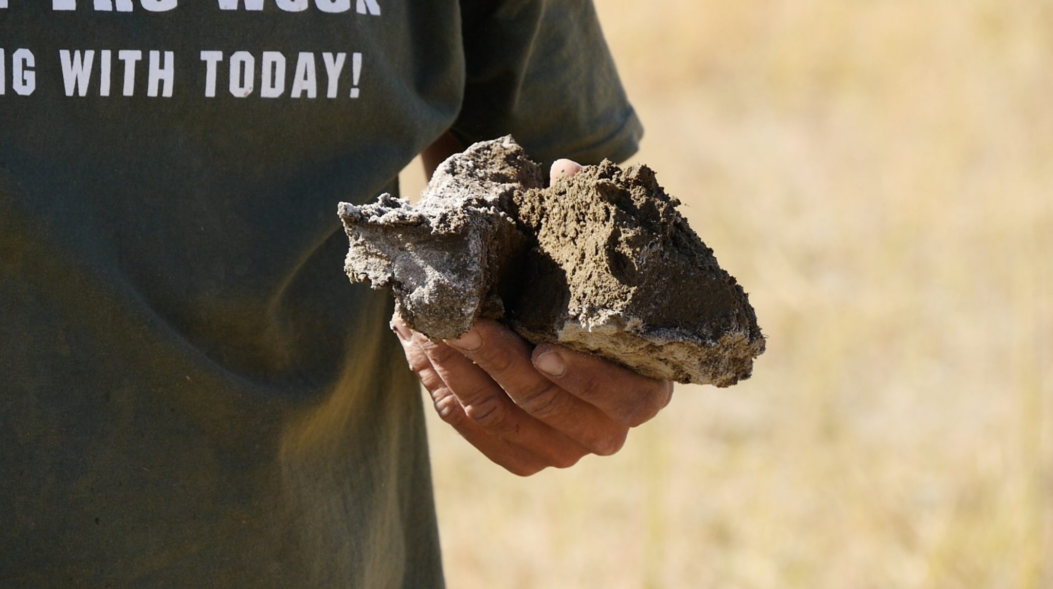 UW Extension To Offer Seminar On Crop Production In Alkaline Soils Feb   Alkaline Soils Lovell WY 2048x1147 