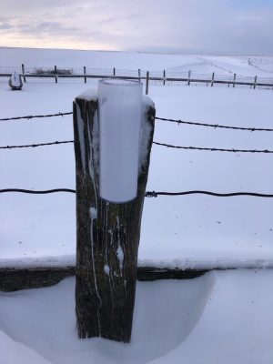 rain gauge filled with snow and attached to a fence post on a barb wire fence