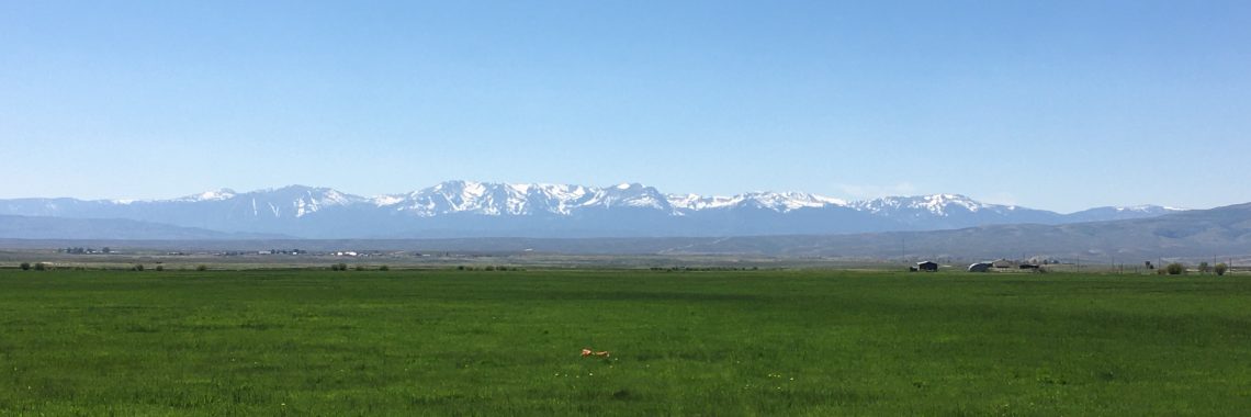 green meadow with snow-capped mountains in background