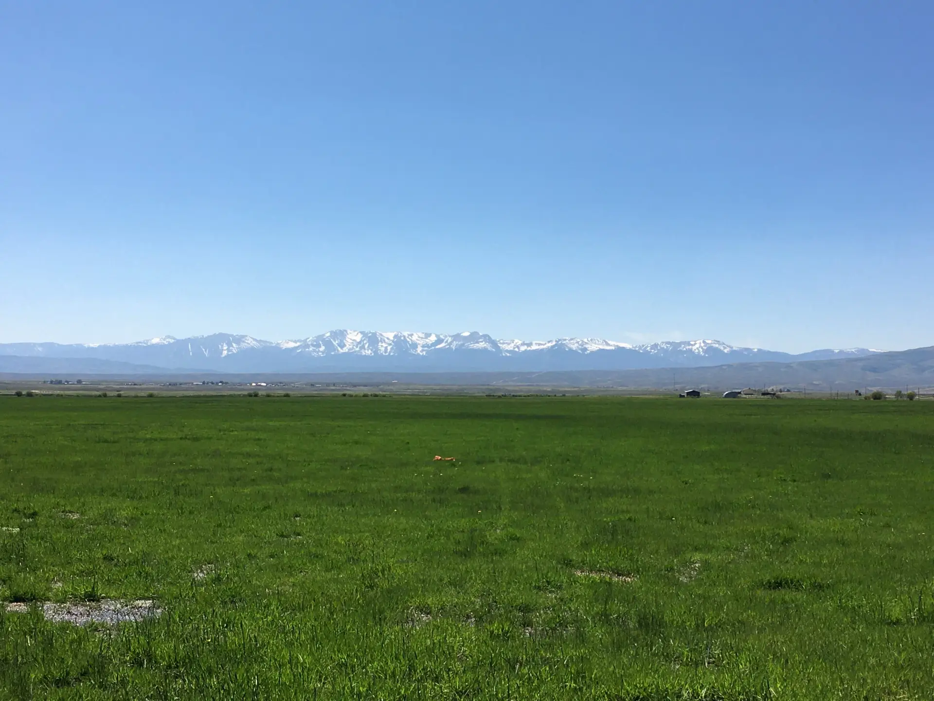 green meadow with snow-capped mountains in background