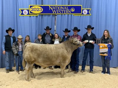 family and friends stand with teenager holding halter of cow under at 2023 National Western banner during an awards ceremony