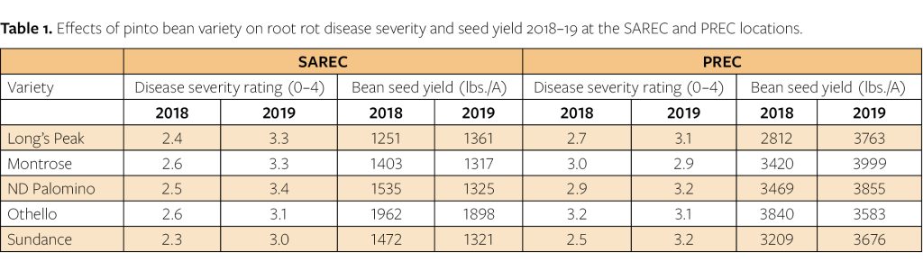 Effects of pinto bean variety on root rot disease severity and seed yield 2018–19 at the SAREC and PREC locations . 
