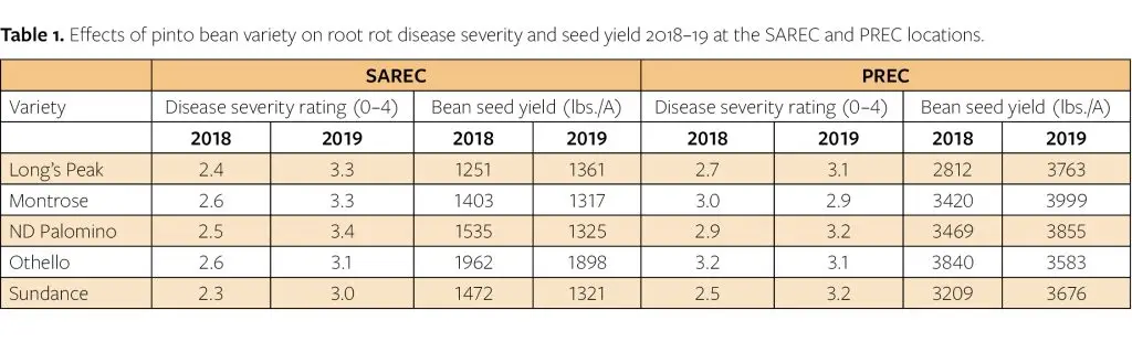 Effects of pinto bean variety on root rot disease severity and seed yield 2018–19 at the SAREC and PREC locations . 