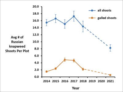 graph showing decreasing amount of Russian knapweed shoots per plot between 2014 and 2021