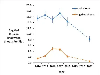 graph showing decreasing amount of Russian knapweed shoots per plot between 2014 and 2021