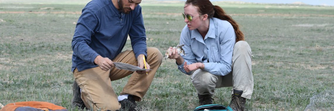 man wearing blue shirt and holding paper and pencil confers with woman wearing sunglasses and holding a mountain plover