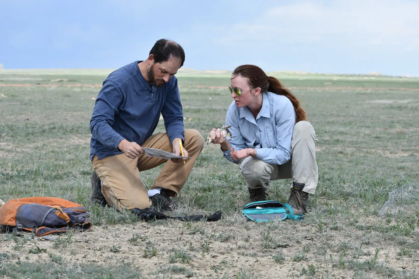 man wearing blue shirt and holding paper and pencil confers with woman wearing sunglasses and holding a mountain plover