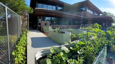 metal planters full of green growing plants bordered by a sidewalk, chainlink fence, and large two-story building with many windows