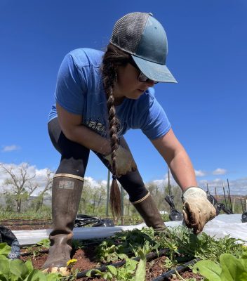 Woman with long braid and baseball cap wearing rubber boots and gardening gloves reaches down to pull weeds in a garden plot
