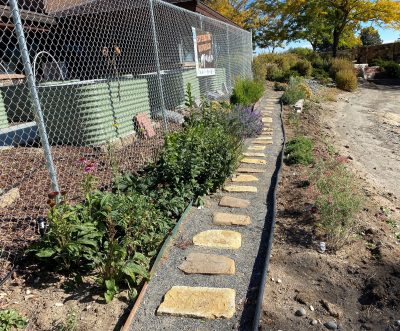 dirt path with metal sides and rocks placed in the middle borders chainlink fence surrounding a garden