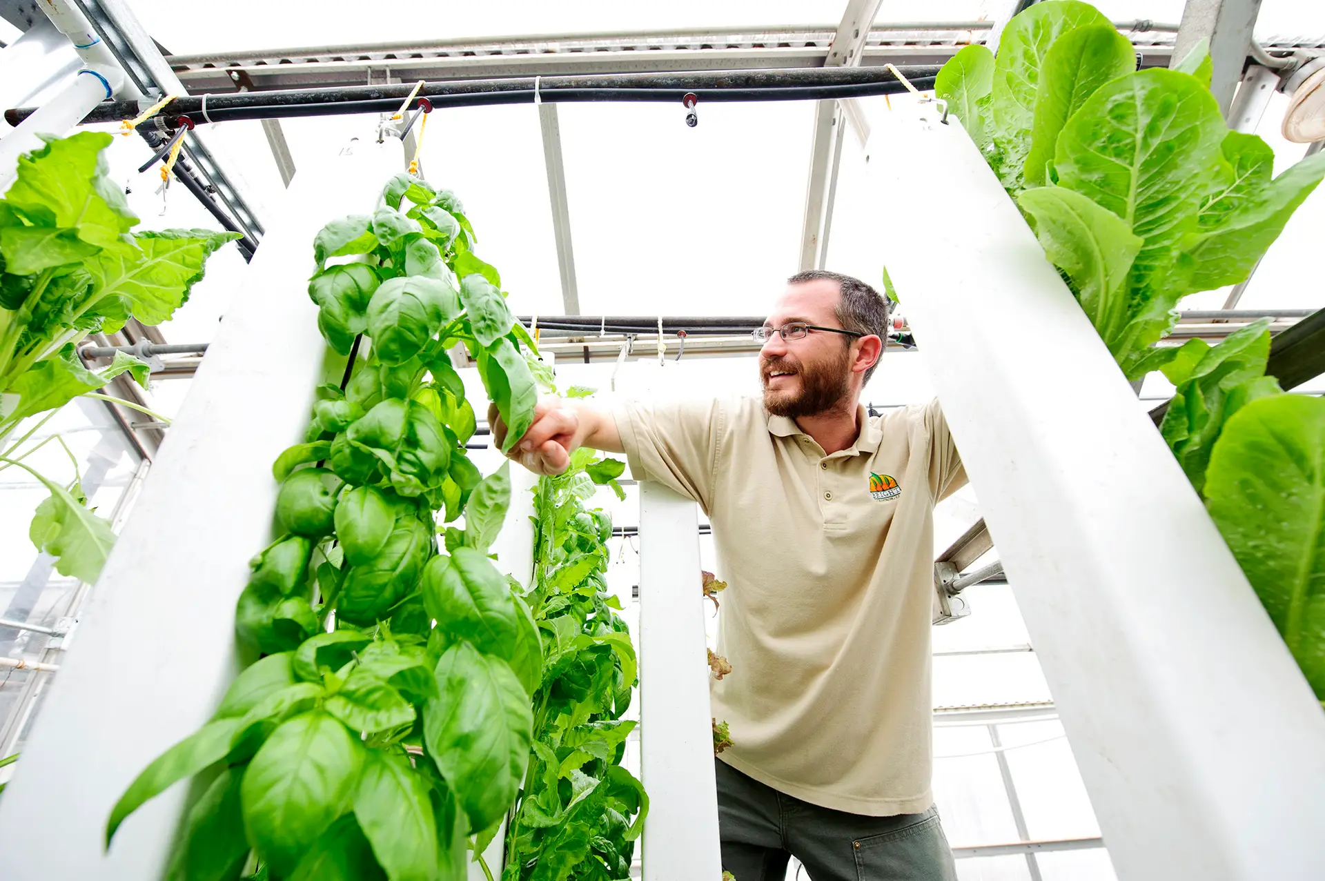 smiling man wearing glasses stands in a greenhouse between tall white pillars with leafy green plants growing from them