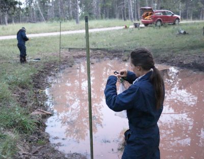 Two researchers wearing blue uniforms install a mist net with metal poles over large swampy puddle of brown water. There is a red car on the side of a dirt road and pine trees in the background.