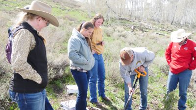 four women wearing jeans and outdoor wear stand beside a man digging a shovel into the soil while a man in a cowboy hat looks on. They are surrounded by sagebrush and there are aspens in the background.