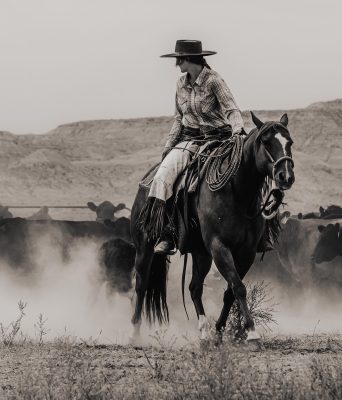 black and white photo of a woman on horseback wearing a cowboy hat, plaid shirt, and chaps looking over her shoulder at cows as dust rises from the ground.