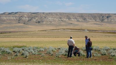 A group of four people in a patch of sagebrush bordering a field with striated geographic feature in the distance.