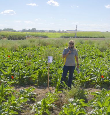 A blonde woman in a UW t-shirt stands in a field holding a microphone