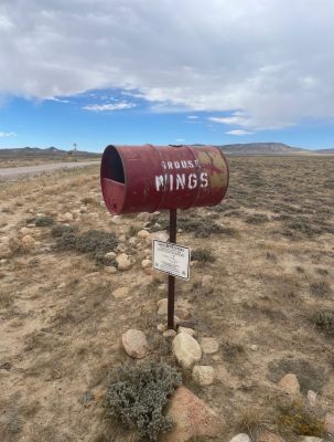 Red metal barrel on a pole with the words grouse wings painted in white.