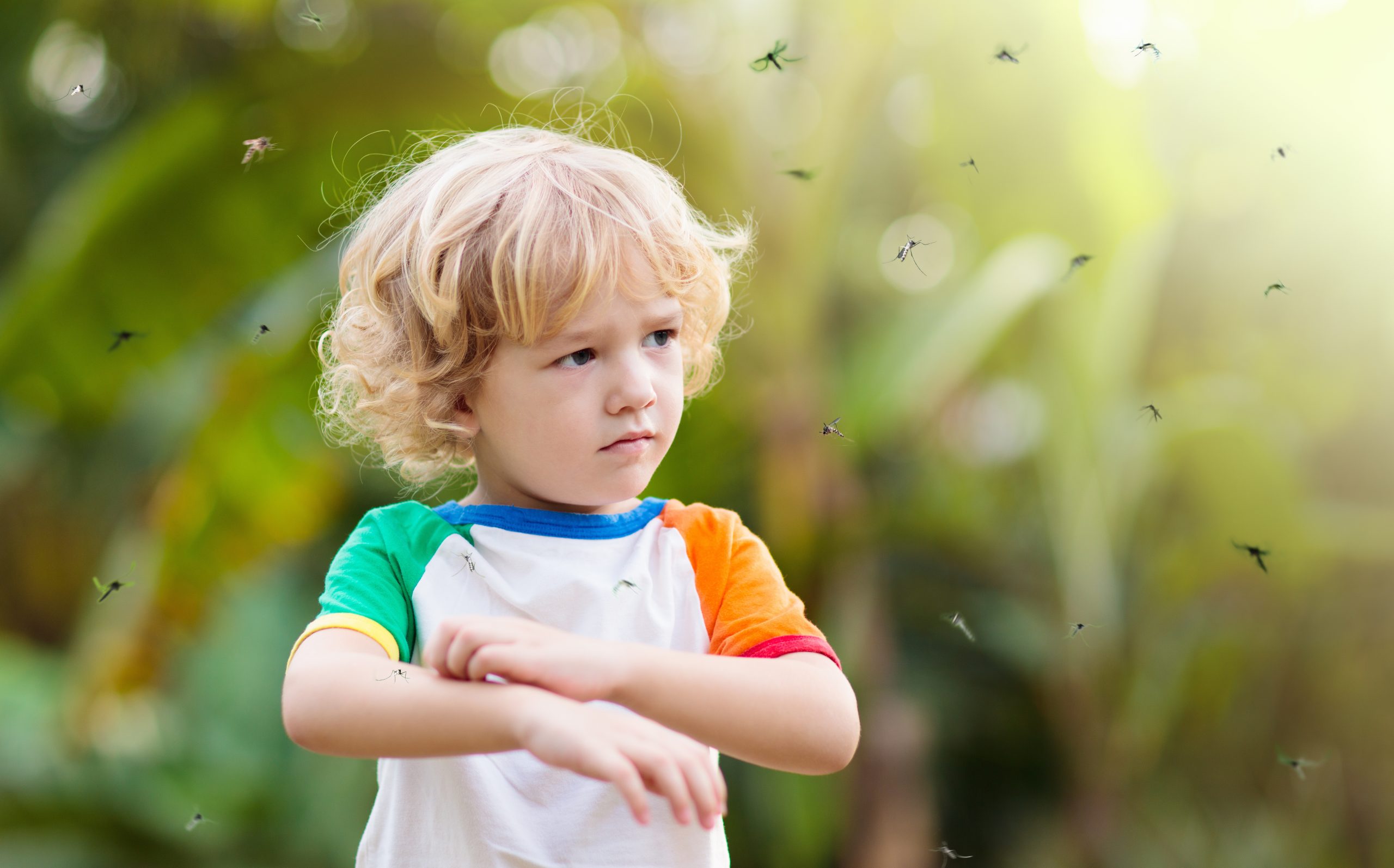 little boy with curly blond hair wearing white t-shirt with multicolored sleeves scratches his arm as a swarm of mosquitoes surround him.