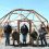 Geodomes Nourish People and Plants in the Wind River Community