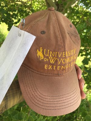 faded brown baseball cap with yellow bucking horse logo and University of Wyoming Extension embroidered on the front. A dryer sheet is attached to the side of the hat with a safety pin.
