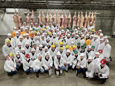 Many students in white coats and helmets in front of about twenty hanging carcasses.