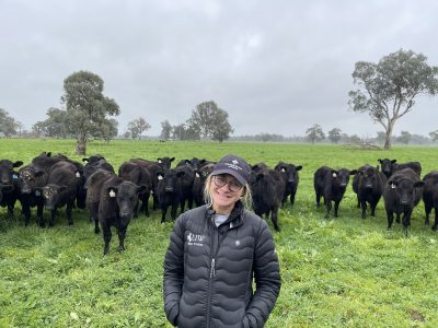 A white woman wearing UW meat judging jacket and baseball cap in front of a herd of black cattle.