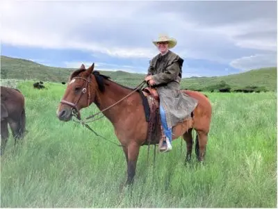 A woman riding a brown horse in a field.