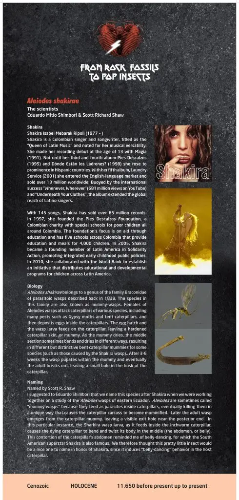 Poster that includes two images of Shakira, an image of the adult wasp, and a picture of the host caterpillar. Click image for a long description of the complete text. 