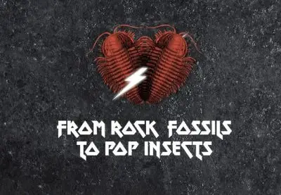 Design of two trilobites with a lightning bolt, under which are the words From Rock Fossils to Pop Insects