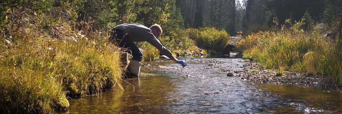 man wearing waders stands at the edge of a creek surrounded by trees and drops tracer dye into the water to track flow.