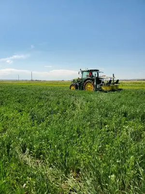 A tractor in a field.