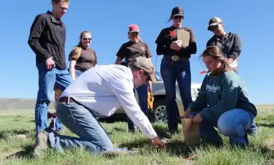 five students look on as an instructor kneels on the ground snipping plants in a small area surrounded by an orange hoop. Another student squats beside him holding a paper bag to hold plant samples.