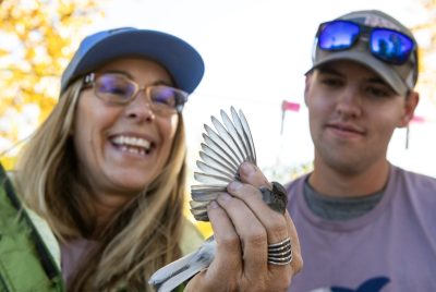 A gray bird wing is held spread out by a white woman, who is smiling and standing right next to a white man also looking at the bird. The bird's head sticks out between the woman's fingers and looks dark gray, with a short tan beak. 