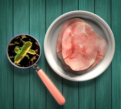 A plate with slices of meat next to a magnifying glass, which has an image of several pill-shaped greenish things covered in little hairs.