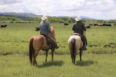 Two people on horseback facing away from the camera looking at a herd of cows. On the left, the person has blonde hair, a cowboy hat, and a jean jacket. On the right, the person is wearing back and a cowboy hat. 