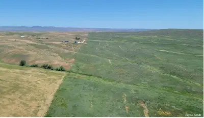 A hilly open landscape divided into two areas. On the left, the landscape is yellow/brown with dots of green. On the right, the image is green with dots of blue-green. There is a very clear, straight dividing line between the two areas.