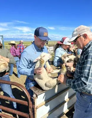 man wearing baseball cap, long-sleeved button-down, and jeans holds a lamb at the side of a pen. An older gentleman also wearing a cap and jeans holds its feet. In the background are a group of young people also participating in the docking process.