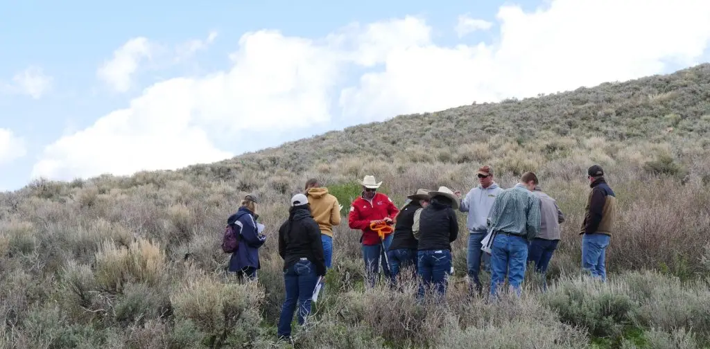 instructor wearing baseball cap, sweatshirt, and jeans addresses a group of students standing on a hill covered in sagebrush with a mostly overcast sky above