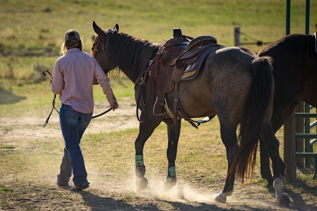 woman with braided hair and baseball cap wearing long-sleeved collared shirt and jeans walks away from the camera leading a dark brown horse wearing a saddle