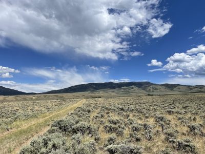 faint dirt two-track winding through sagebrush toward mountains with a blue sky and puffy white clouds overhead