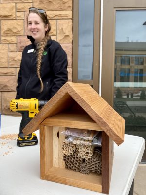 A small wood house with an open front, which is filled with two panels and bundles of large straw-like objects in various shades of tan, some of which are wrapped in plastic. The house is resting on a table. Behind the table, a woman with long blonde hair in a braid addresses the camera. There is a drill between the bee house and the woman.