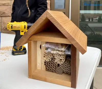 A small wood house with an open front, which is filled with two panels and bundles of large straw-like objects in various shades of tan, some of which are wrapped in plastic. The house is resting on a table. Behind the table, a woman with long blonde hair in a braid addresses the camera. There is a drill between the bee house and the woman.