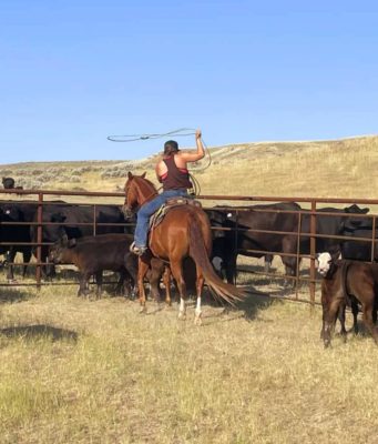 A young woman on horseback uses a lasso on some cows. The woman has light skin and brown hair and is wearing a brown tank top, jeans, and a baseball cap.
