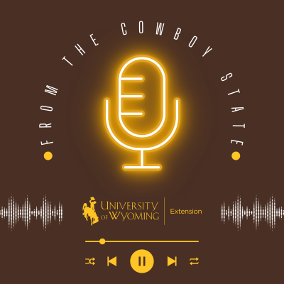 An illustration of a gold microphone against a brown background. Around the microphone, text reads "From the Cowboy State". Below the microphone, UW Extension's logo is displayed above pause, play, skip icons. To either side of the UW Extension logo are patterns that look like audio waves.