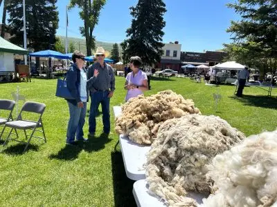 Three large piles of fleece on a table. In the background, three people talk.
